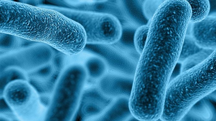 What You Ought to Know About Vaginal Yeast Infections