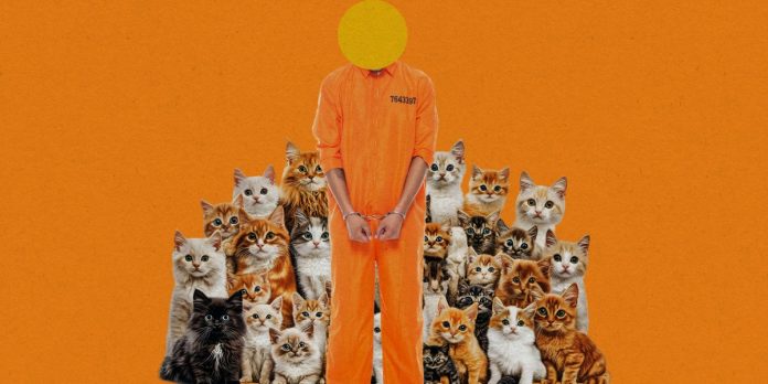 Your intestine microbes would possibly encourage felony conduct