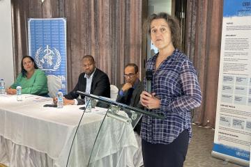 WHO helps Mauritius in assessing and empowering the Nationwide Immunization Technical Advisory Group