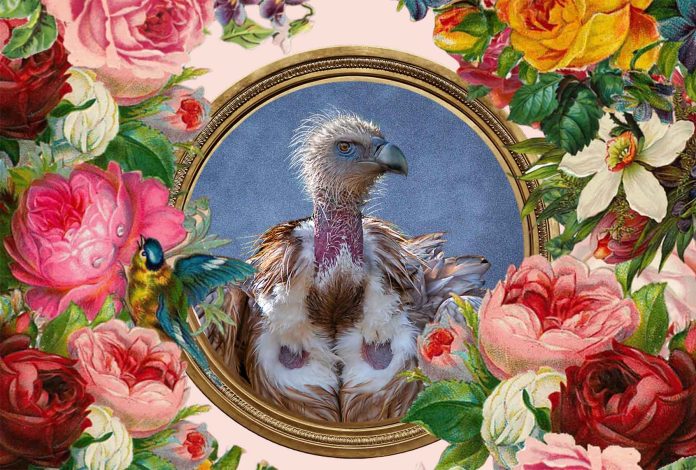 Your mother’s so ugly