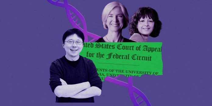 A US court docket simply put possession of CRISPR again in play