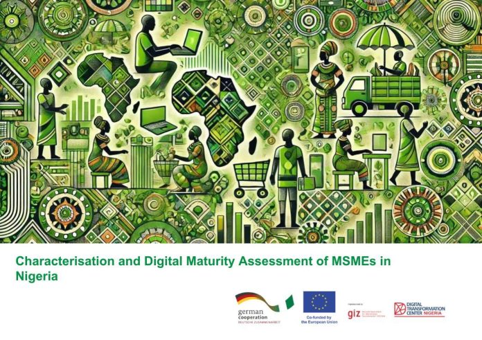 Characterisation and digital maturity evaluation of MSMEs in Nigeria by GIZ/digital transformation middle Nigeria