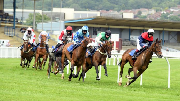 At this time on Sky Sports activities Racing: Newton Abbot hosts six-race card