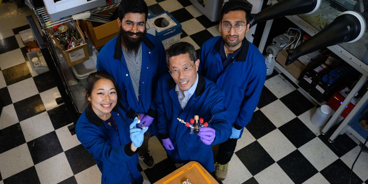 a-brand-new-sodium-steel-gas-cell-might-assist-clear-up-transportation.jpg A brand new sodium steel gas cell might assist clear up transportation