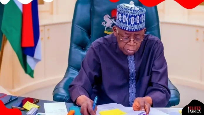 The Alleged Reality of Nigerian Graduates in Russia’s Drone Program