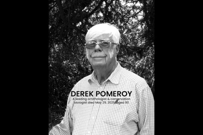 Derek Pomeroy, a number one determine in Ugandan ornithology died on Could twenty ninth, aged 90
