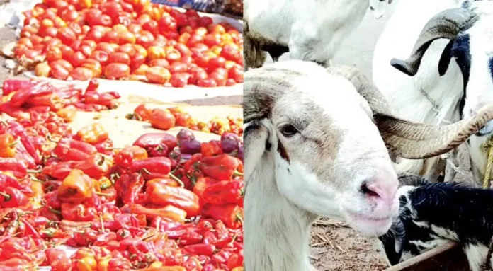 Eid Meals Disaster: Costs of Rams, Tomatoes, and Peppers Skyrocket