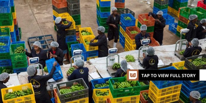 Twiga Meals halts Nairobi operations, considers new places for distribution hub 