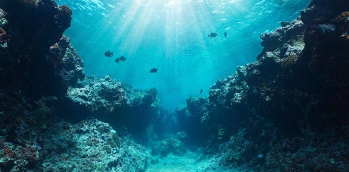 Ocean mud locks up a lot of the planet’s carbon – we’re digging deep to map these historic shops