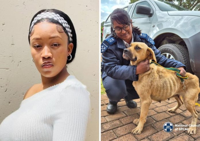 Influencer going through animal costs after mocking SPCA’s canine rescue