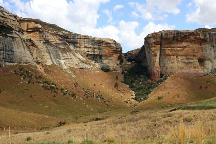 In the footsteps of giants: SA’s new dinosaur centre to open