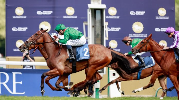 Shes Perfect bids for redemption at Chantilly