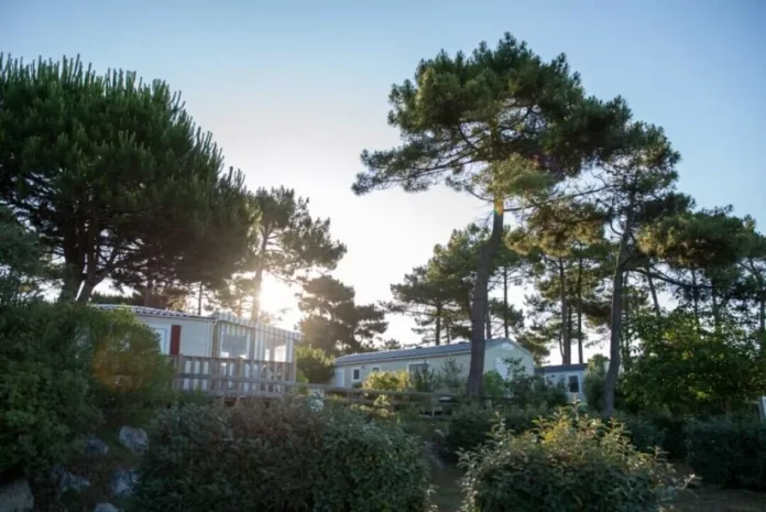 Siblu expands its presence in Europe with strategic acquisitions