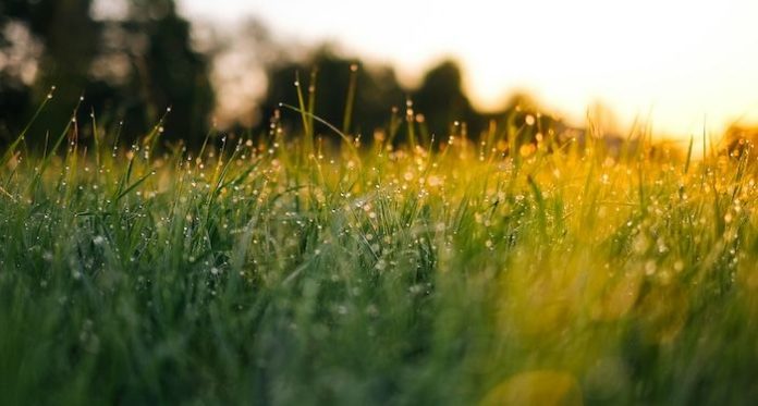 Go Outside and Touch Grass: 7 Inspiring Books About Nature and the Environment