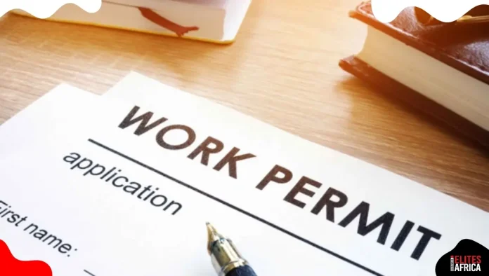 Top 10 Countries Hiring Foreign Workers in 2025 