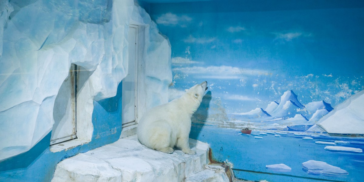 the-anthropocene-illusion.jpg The Anthropocene illusion