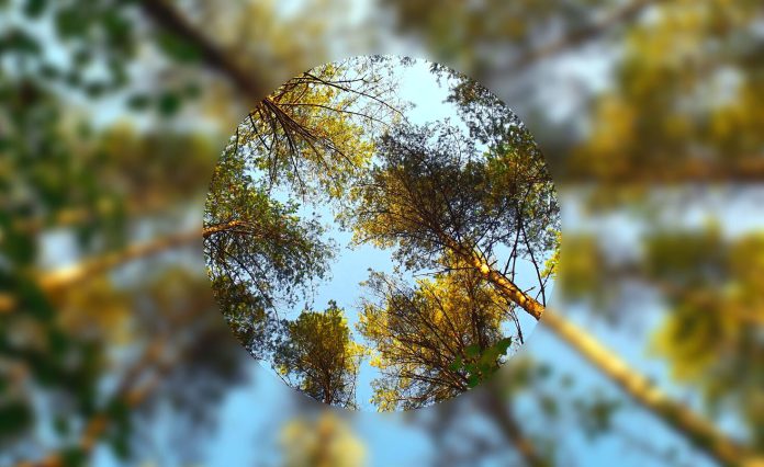 Is sustainability consulting right for you? Ask yourself these 7 questions