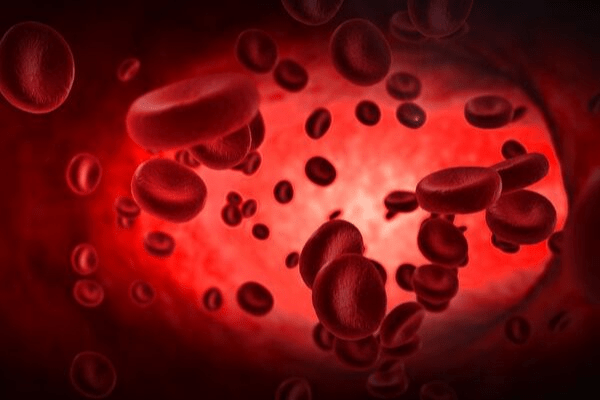 Sickle Cell ‘Warriors’ and the Nigerian nation