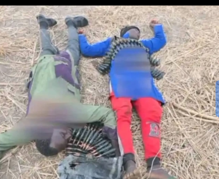 PRNigeria Factcheck Debunks Video Claims of Bandits Dying Mysteriously in Nupe Community