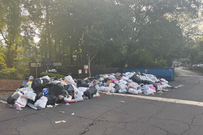 America’s Hot Garbage Summer Bites