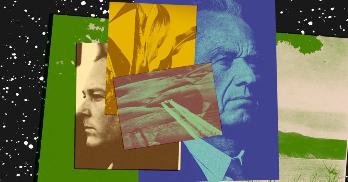 Is MAHA losing its battle to make Americans healthier?