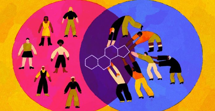 The testosterone theory of politics