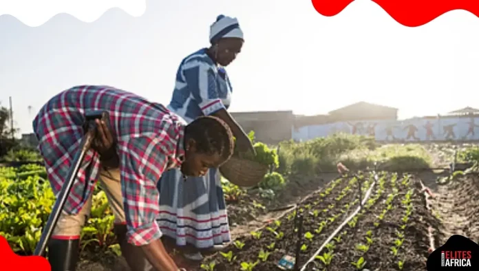 How Smart Farming is Helping Africa Fight Climate Change – G20 Should Support