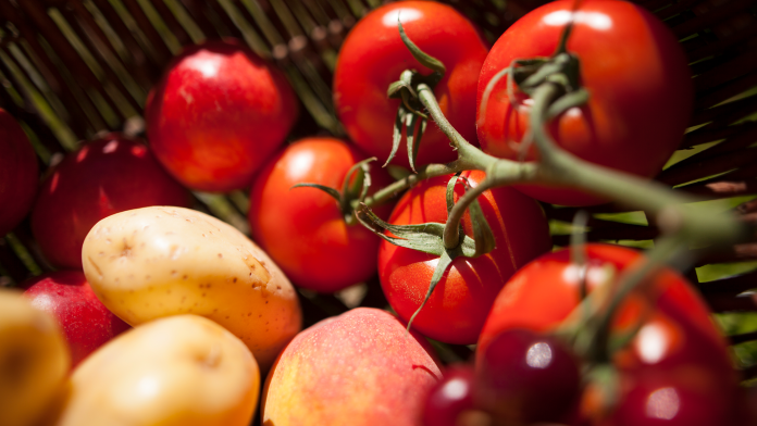 How the tomato created the potato