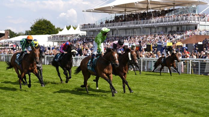 Goodwood: Jm Jungle surprises King George Qatar Stakes rivals