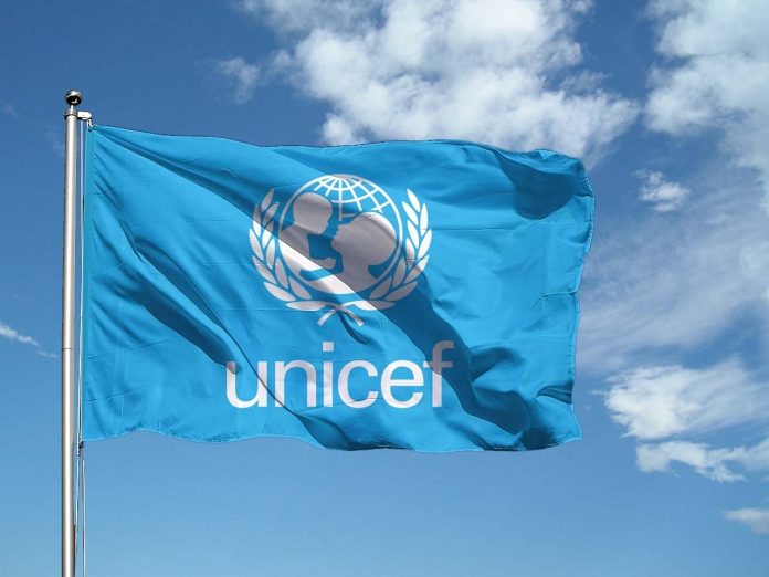 UNICEF, Borno govt moves to reduce maternal mortality 