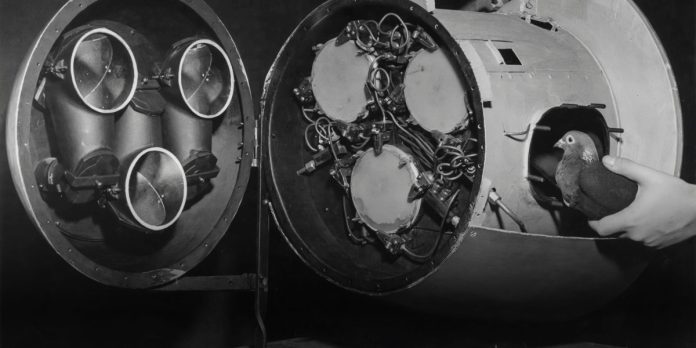 The Download: pigeons’ role in developing AI, and Native artists’ tech interpretations