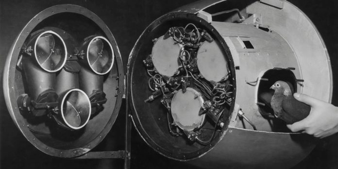 Why we should thank pigeons for our AI breakthroughs