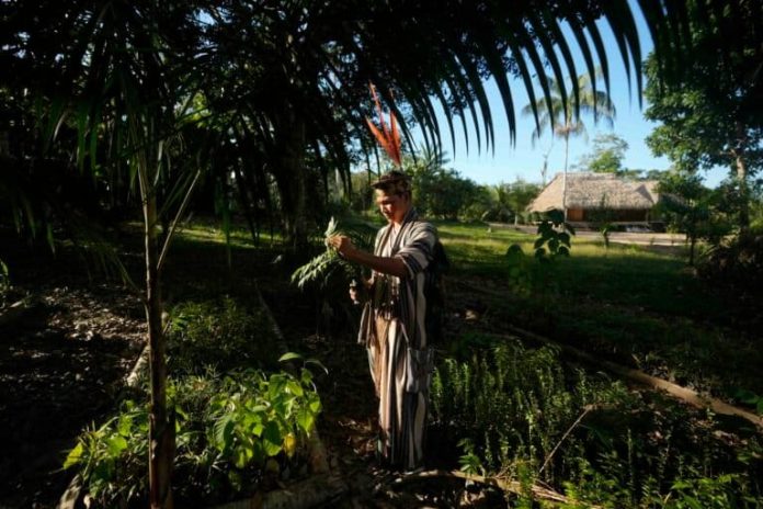 Norway pledges more direct funding to support Indigenous peoples in Brazil