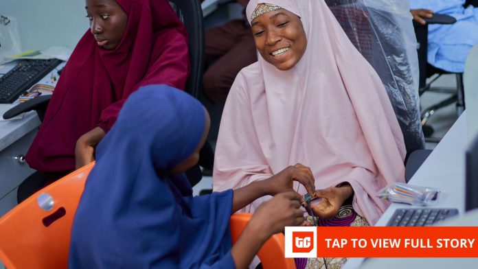 In Niger State, AI systems are solving problems that can’t wait