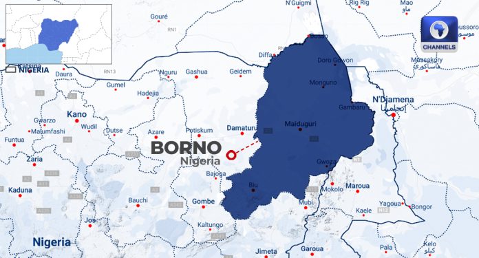 Two Boko Haram Commanders, 11 Others Killed In Foiled Borno Attack