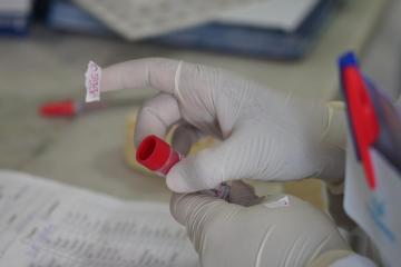 African health ministers call for urgent action as progress against malaria stalls