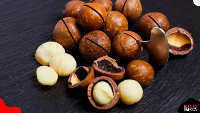 FG Bans Shea Nut Exports for 6 Months