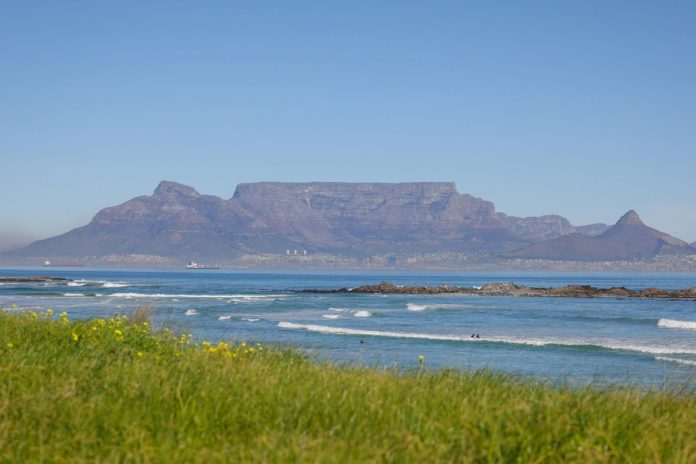 Exploring Cape Town’s Forests: Tokai 