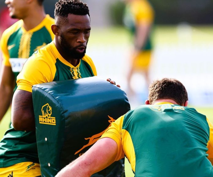 Springboks: Kolisi unlikely to feature against All Blacks