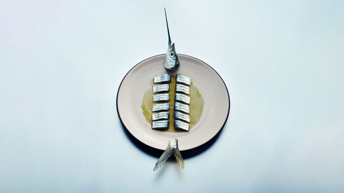 The 20 Best New Restaurants of 2025