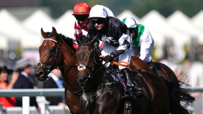 Today on Sky Sports Racing: Plumpton and Southwell meetings live on Sunday