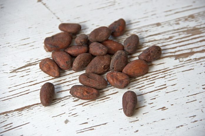 Cocoa Prices Rebound as Low Prices Spur Demand