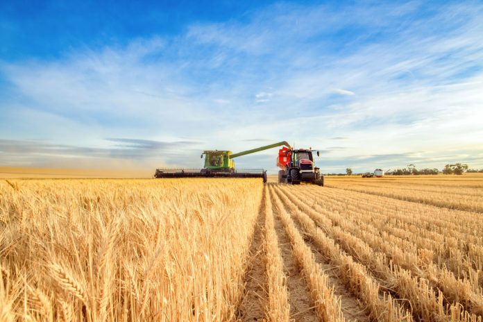 Wheat Mixed on Wednesday