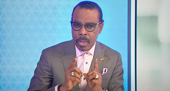 Independence Day: Nigeria Has Failed To Optimise Its Resources — Rewane