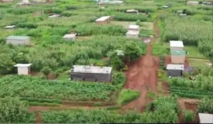 Zimbabwe Government Declares That Peri-Urban Farming Is Not Allowed