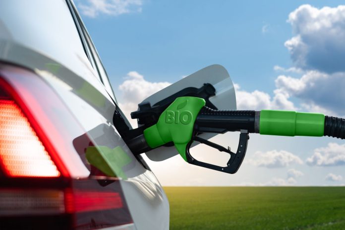 Crude Prices Plunge as US-China Trade Tensions Escalate