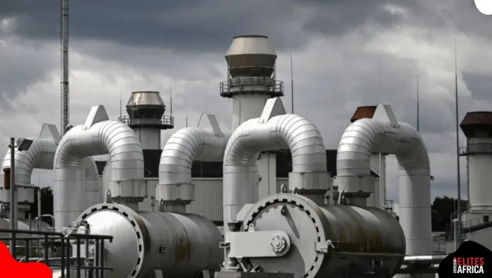 Nigeria’s Gas Investment Surges to $8bn as Tinubu Secures Fresh $2bn Deal