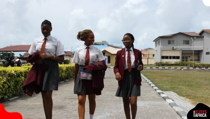 Schools Charging Fees in Foreign Currency Should Be Shut — Minister 