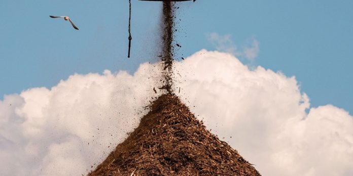 The Download: Big Tech’s carbon removals plans, and the next wave of nuclear reactors