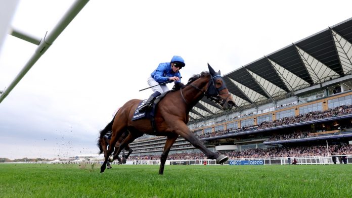 British Champions Day: Trawlerman scoops Long Distance Cup honours for Gosden team